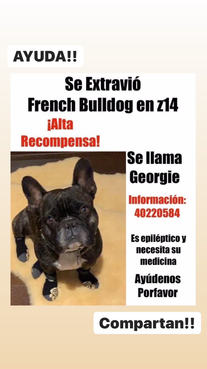 AjGonque's tweet photo. AYUDA POR FAVOR!! https://t.co/HQWVVxcK0F