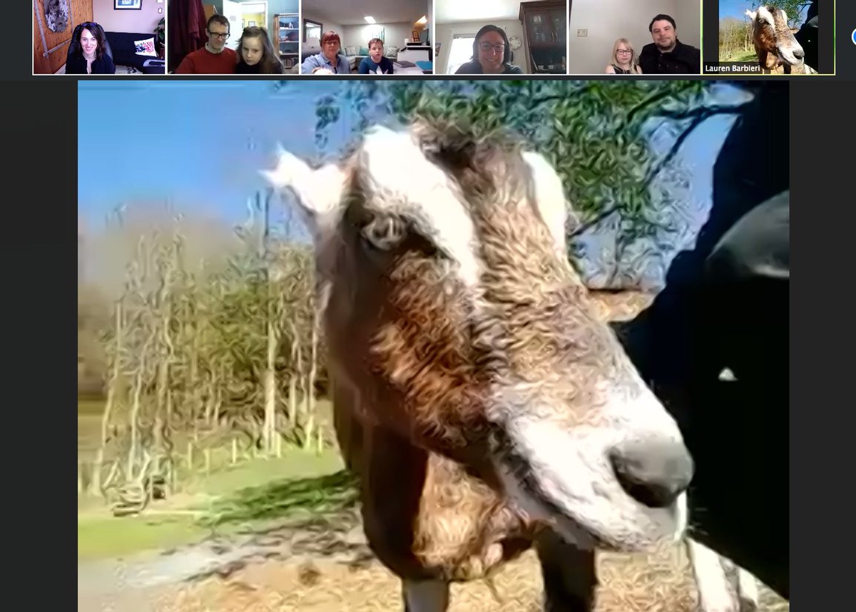LabradorCampus's tweet photo. Thanks to @CASanctuary for joining our #LabInstitute staff/LI friends meeting via #Zoom to introduce us to your wonderful farm & goats (especially Lillian & Joyce)! We learned a lot & are inspired by many ideas for our own #PyeCentre farm in Labrador! #goat2meetings #spotthegoat https://t.co/JrE36SnYqg