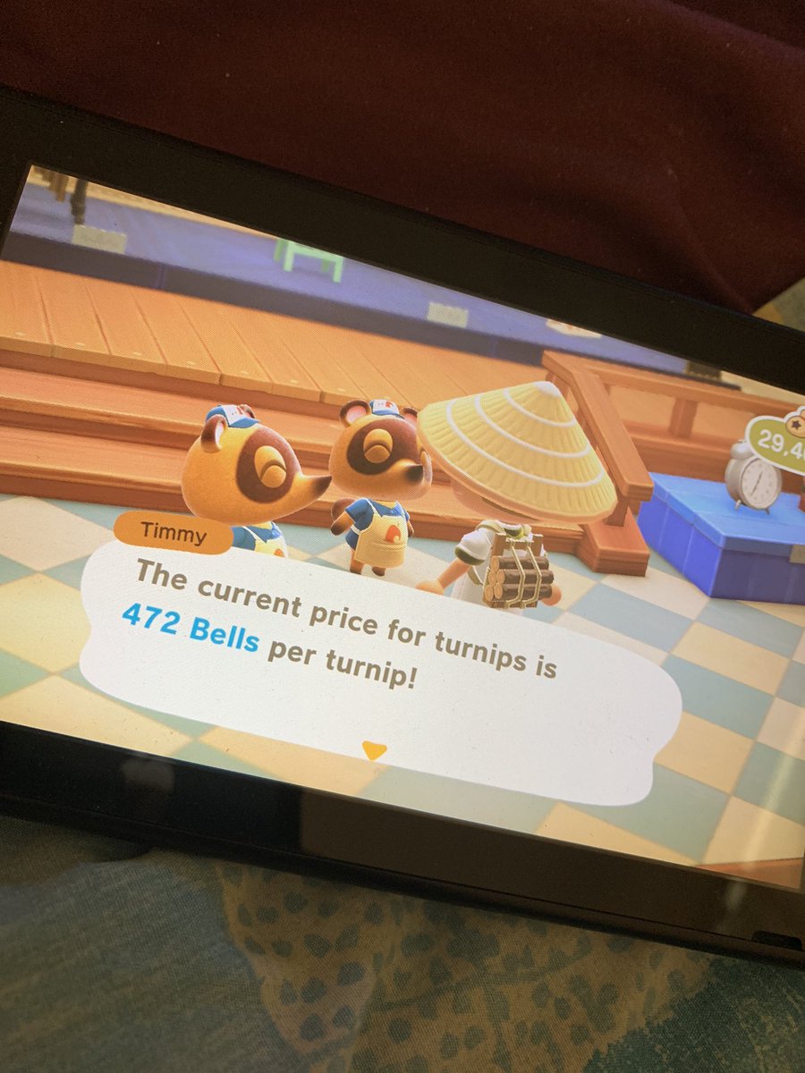 RudeBoii_KID's tweet photo. Turnip prices lit on my island 🌴 #turnips #turniptrade https://t.co/M3pInis18D