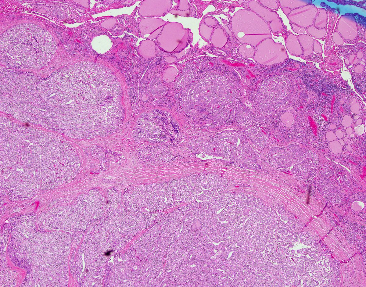 David Hernandez Gonzalo tweet media