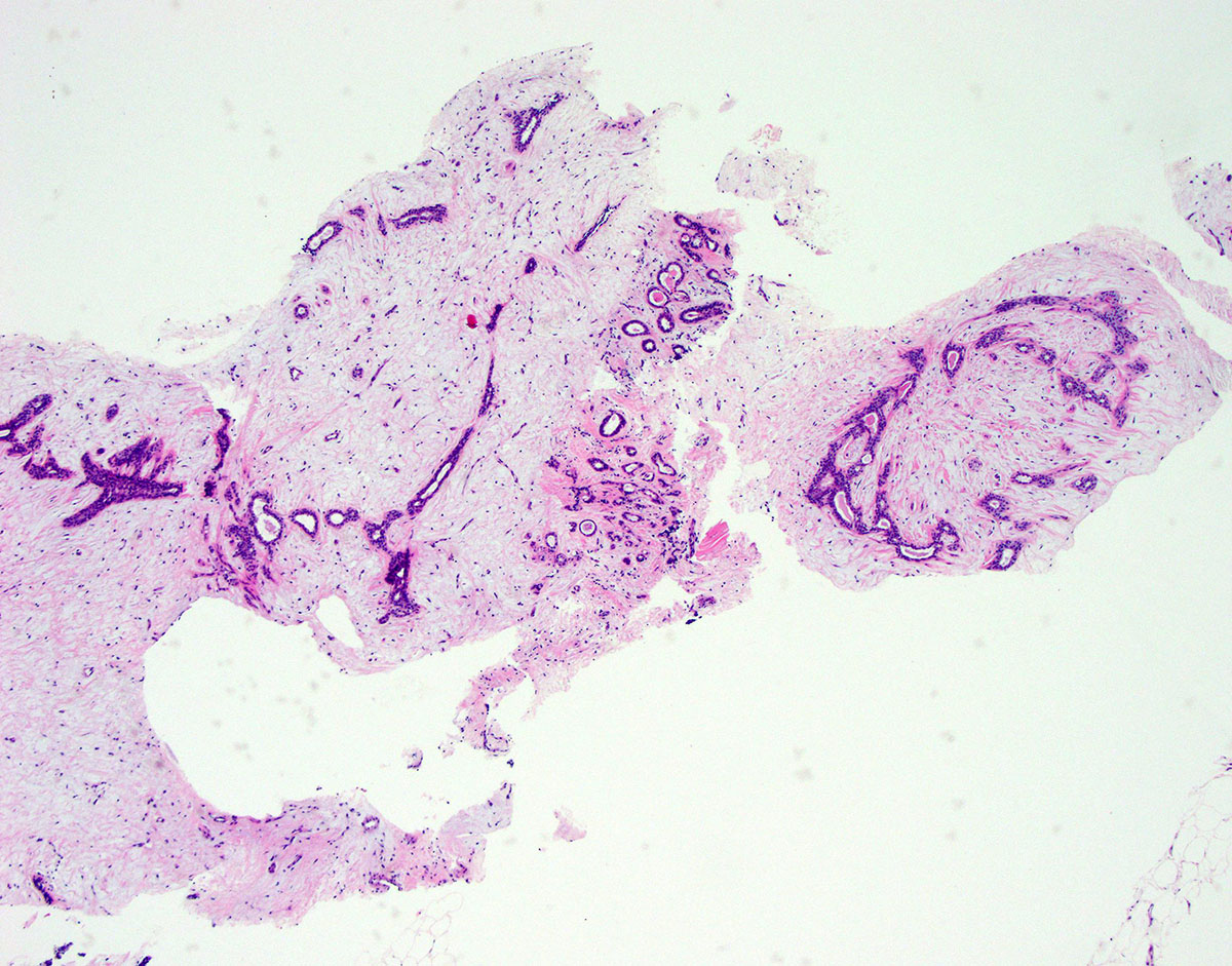 David Hernandez Gonzalo tweet media