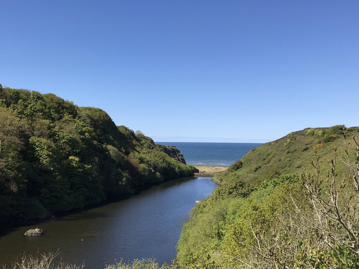 David Mulholland (@divotdoc) on Twitter photo 