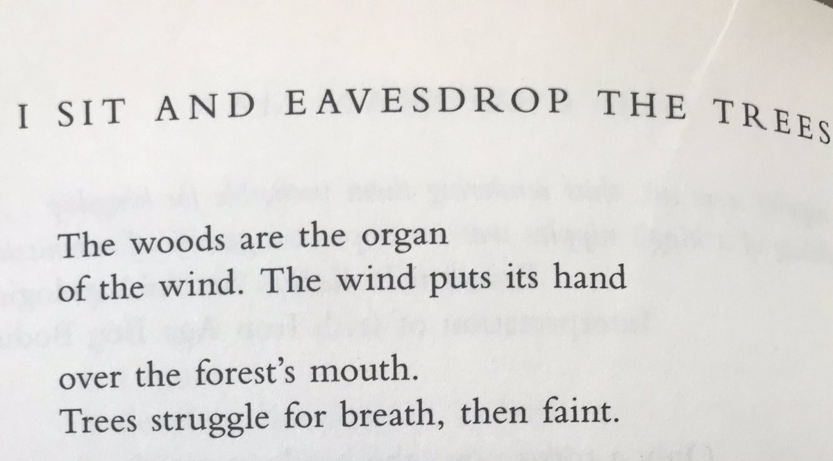 CauveryMadhavan's tweet image. Like @seanehewitt I desperately want to eavesdrop in a wood in Beara. #TonguesOfFire