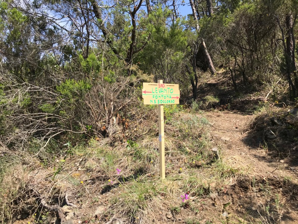 il sentiero per Fontona riaperto dopo anni è una meraviglia. Complimenti a <a href="/multycart/">Claudio Podestà</a>  #visitlevanto #trekking