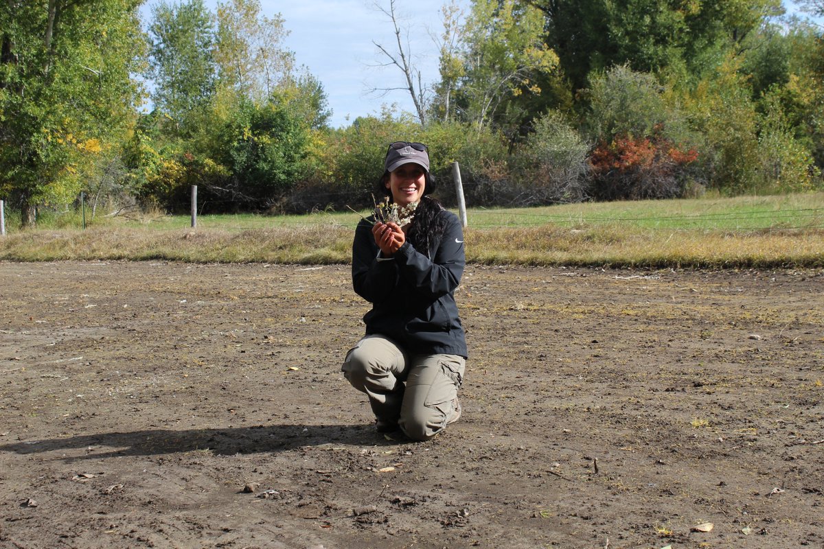 biolobrie's tweet photo. I've been making the best of this time by focusing on reading/computer work. It's not glamorous but it has been very beneficial. However, I am realllllly looking forward to getting back in the field & working with properties in person again! #golfcourseecology #sustainablesport https://t.co/DtUwFuqRTs