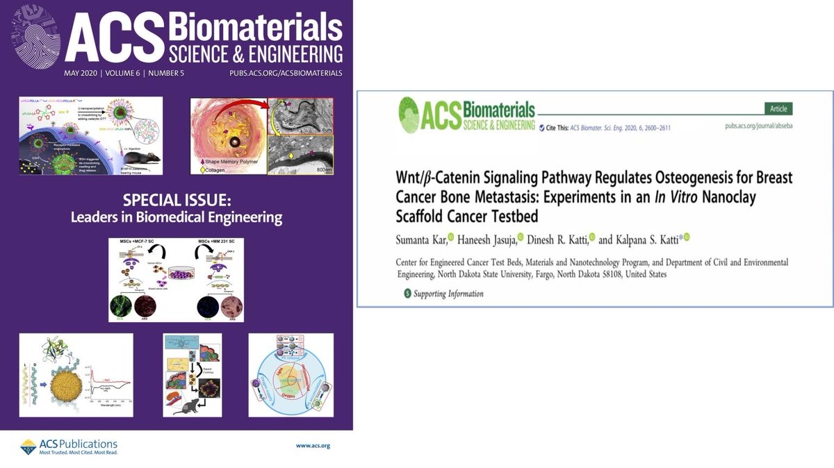 Congratulations to Professor Katti and her team from <a href="/CectNdsu/">NDSU CECT</a>. Their work, featured on the cover of ACS Biomaterials Sci. &amp; Engr., shows that different breast cancer cells influence bone at bone metastasis differently, suggesting different therapies for each type are needed.