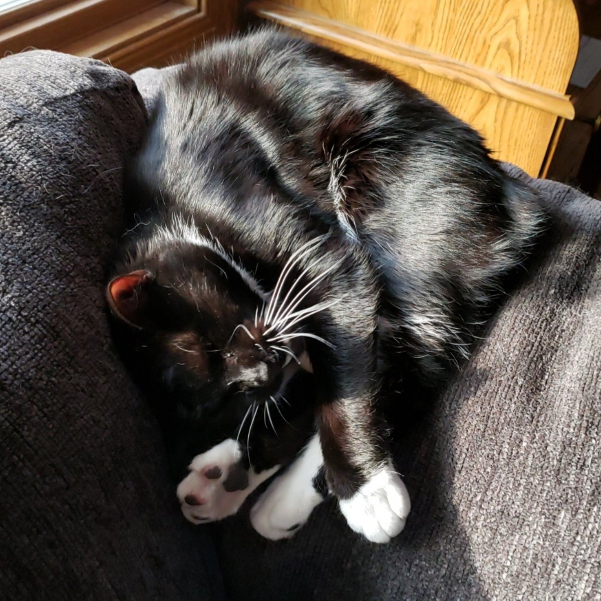 BaracatO's tweet photo. @TreasuryMog Master level flexibility over here. https://t.co/nnSX55RPoC