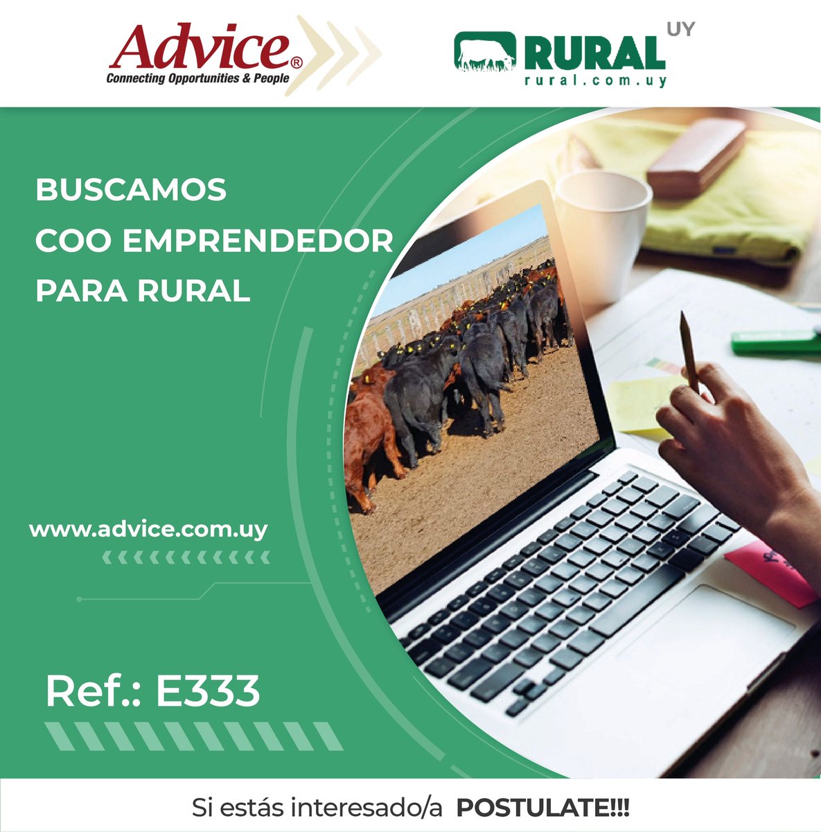 AdviceRRHH's tweet photo. Para co-liderar el crecimiento acelerado de RURAL, seleccionamos | COO Emprendedor. Manager emprendedor con destacado perfil comercial que desee sumarse a esta jóven y dinámica empresa de AgTech en pleno proceso de expansión regional. 

Postulate en ➡️ https://t.co/XLmH9rNKCt https://t.co/7cMlPp7kVu