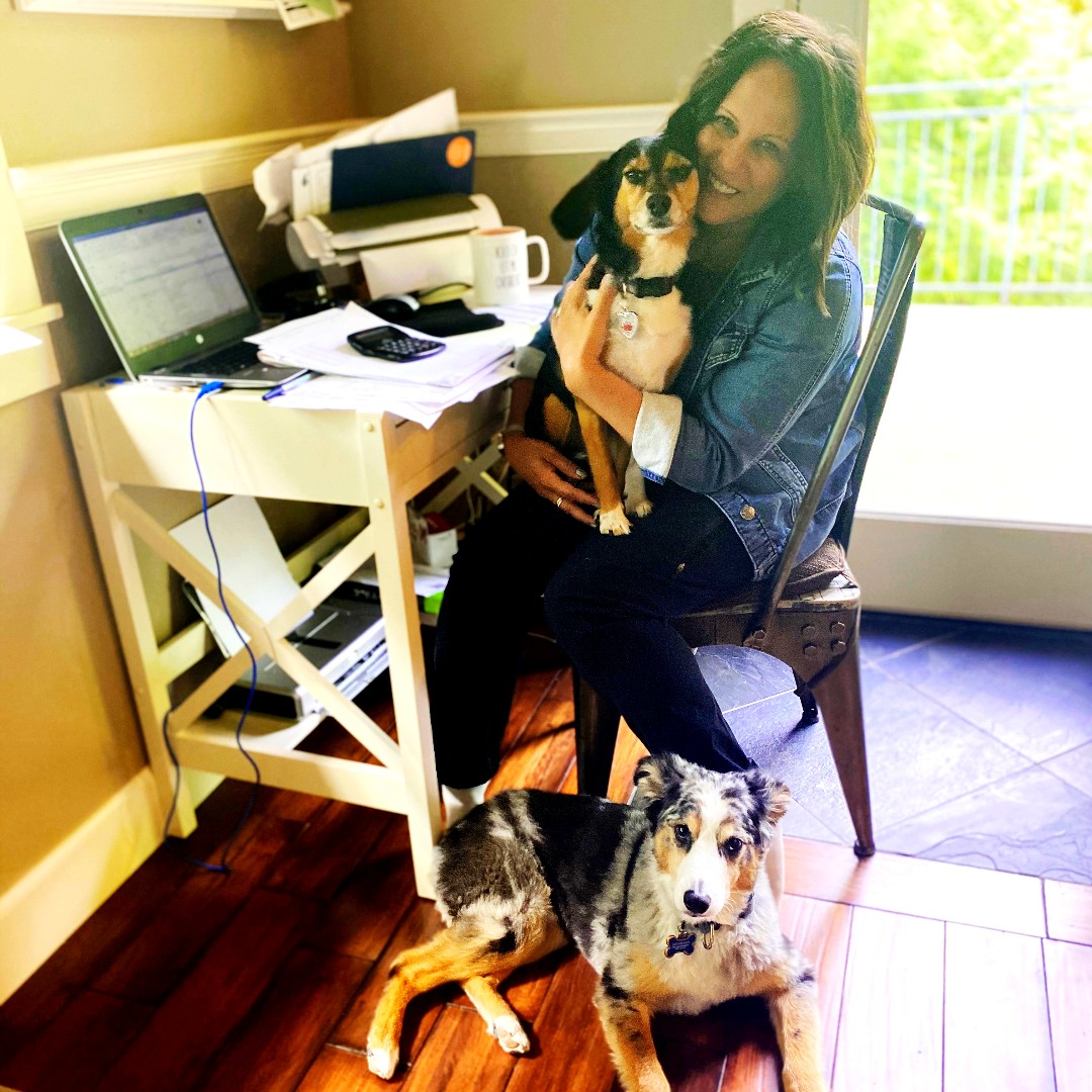 Please note: we are limiting our office hours as we respond to Covid-19. For immediate assistance please contact at: sales@testproductsintl.com. Say hi to our Corporate Service Manager and her co-workers. They are working from home in Oregon. #hvac #hvactech #hvaclife #tools