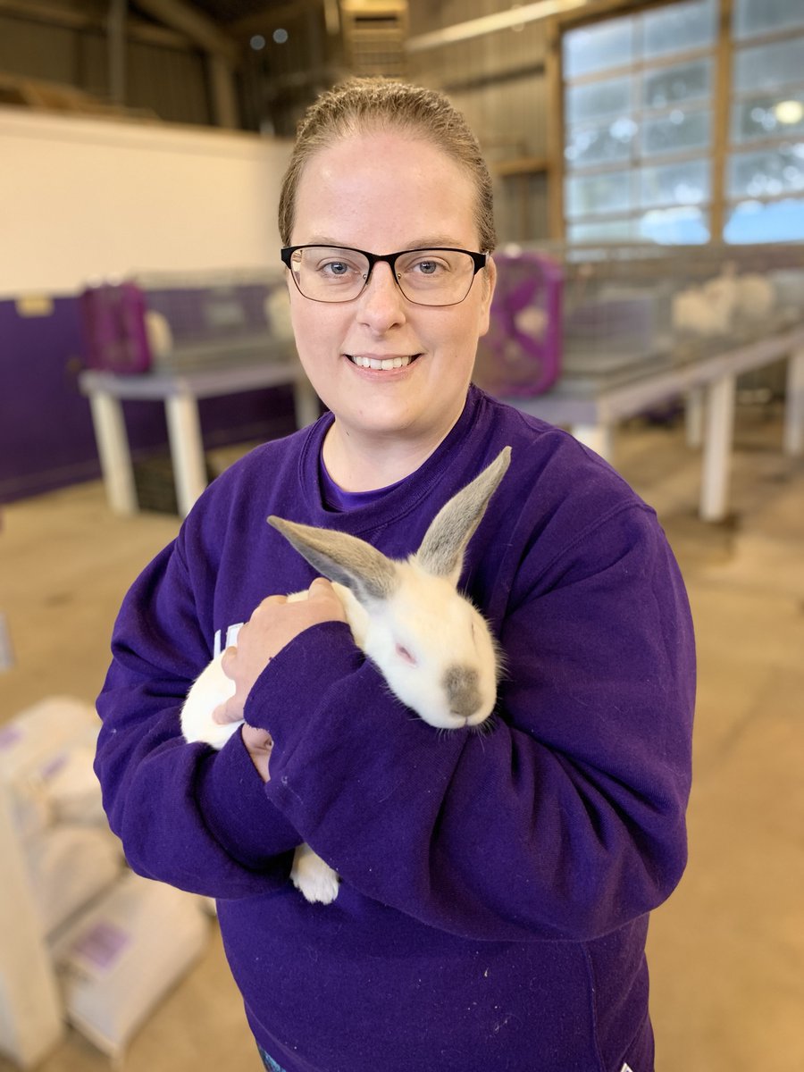 TarletonCOANR's tweet photo. The TSU Rabbitry is a livestock enterprise at the Tarleton Ag Center that houses 80 animals including breeding does, breeding bucks, and kits. The facility was founded by Dr. Brandon Smith &amp; started with multiple breeds, but is now specialized into a Californian breeding colony. https://t.co/hAVtzI3IKm