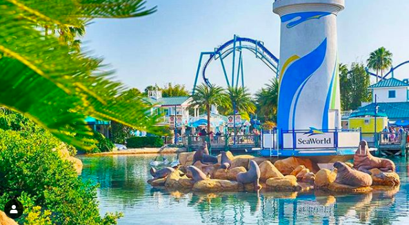 themeparks33's tweet image. What's your favorite attraction at SeaWorld Orlando?⬇️
⚠️New blog post⚠️
__________________________
#seaworld #fun #family #seaworldorlando #familytime #staysafe #summer
#orlando #florida #rollercoasters #sea #travel #dolphins #themepark #amusementpark #turtles #penguin