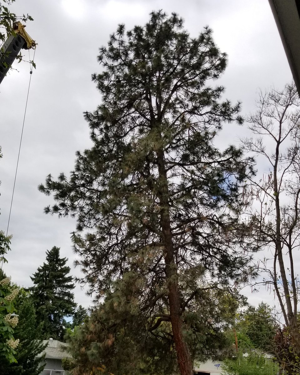 Goodbye old friend 😥