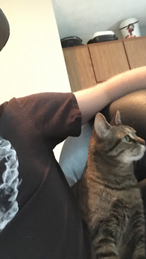 EPiQ Animal Health tweet media