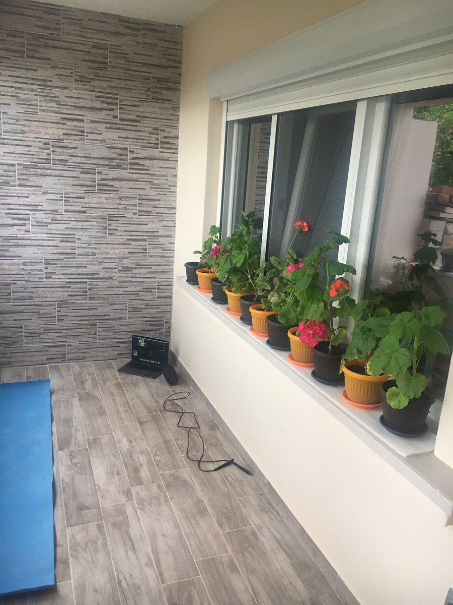 ZeCharmingFool's tweet photo. My new gym 🙃 #naselo https://t.co/fpTLjjqfAe