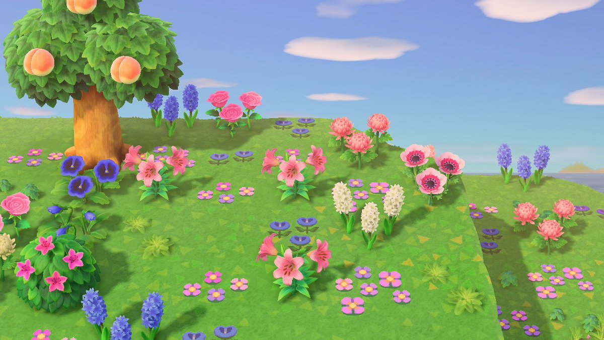 islander_iltsu's tweet photo. More flowers!! 🌼🌸
#animalcrossing #ACNH #ACNHdesigns https://t.co/XI8XGsrE4o