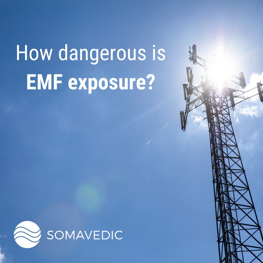 somavedic's tweet photo. How dangerous is EMF exposure? @WellnessMama weighs in: https://t.co/2kYs6xhzcd
#emfexposure #emf #emfradiation #5g #5gradiation #5gexposure #dangersof5g #electromagneticradiation #somavedic #wellnessmama #wellness #lifestyle #emfmitigation https://t.co/WUn3BO63Fa