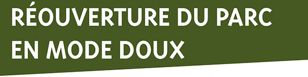 Grand Parc tweet media