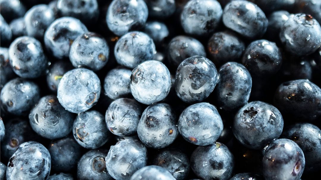 GeorgiaGrown's tweet photo. Stay healthy while staying home. #Blueberries are a delicious treat packed with vitamin C, iron, and fiber. An important source of #potassium that only contains 80 calories per cup. Make sure they're Georgia Grown. #WednesdayWellness  #NowMoreThanEver #BuyGeorgiaGrown https://t.co/caeFZ1dszi