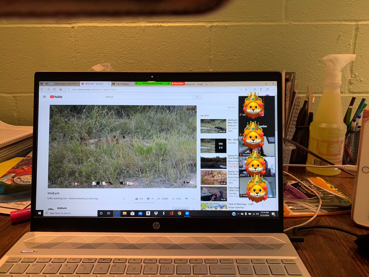 giraffegirl68's tweet photo. The kiddos loved seeing the new Birmingham cubs. Theyโve missed their Kids Drives #teachingconservation #wildearth https://t.co/oZBzpdMakm