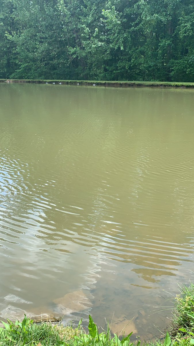 center_library's tweet photo. What are you doing on this sunny day? The fish aren’t biting but it sure is relaxing. #TeamDCS #CHES #HereComesTheSun https://t.co/fUx6F5LlQq