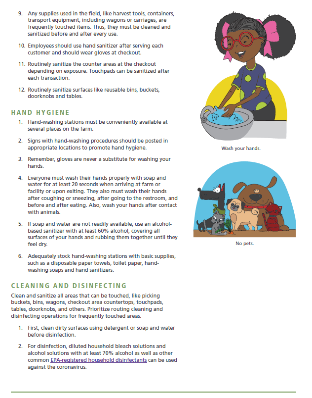 achyutadhikari's tweet photo. Best practices on preventing health hazards associated with #COVID19 in U-Pick operations which allows customers to go out in the field and harvest their own produce. #foodsafety #freshproducesafety @LSUAgCenter @LSU
https://t.co/EGISSVZmEw https://t.co/2cjXOkc8ar