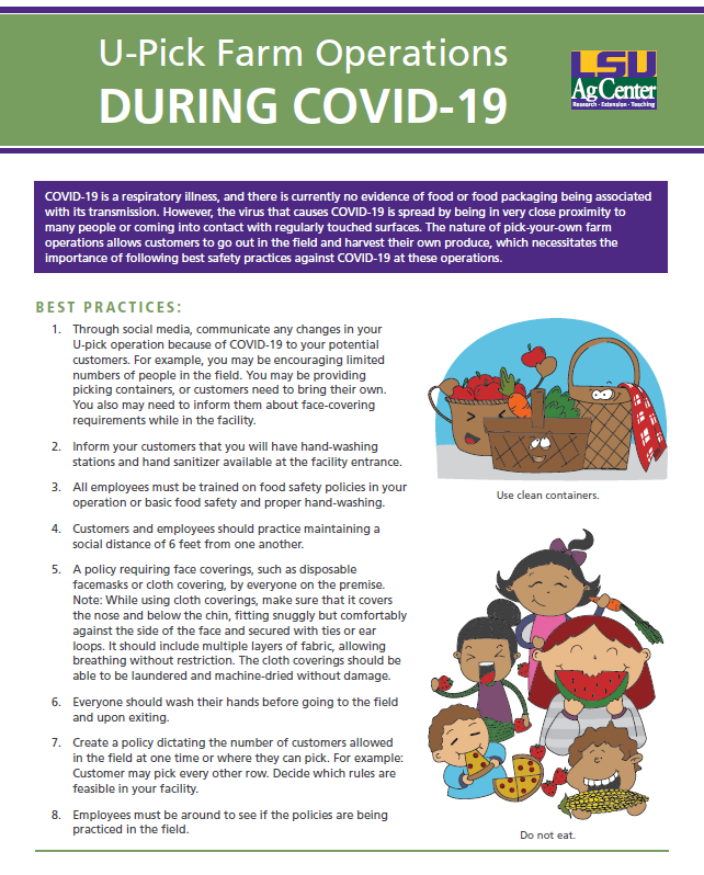 achyutadhikari's tweet photo. Best practices on preventing health hazards associated with #COVID19 in U-Pick operations which allows customers to go out in the field and harvest their own produce. #foodsafety #freshproducesafety @LSUAgCenter @LSU
https://t.co/EGISSVZmEw https://t.co/2cjXOkc8ar