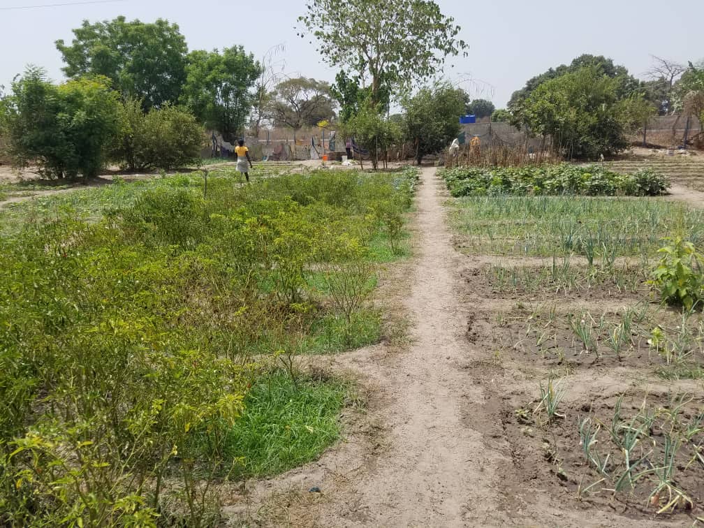 MegaMeterRun's tweet image. BIG THANKS RUNNERS 😍
.
Supporting Somita Women's Cooperative (The Gambia) through COVID19 - Have a quick read of our latest blog... 🙌🔥🔥
megameterrun.com/supporting-sum… 👈👈🏃‍♀️🏃‍♂️
.
#ukrunchat #MMRun #Running #COVID #sdgs #bekind #purpose