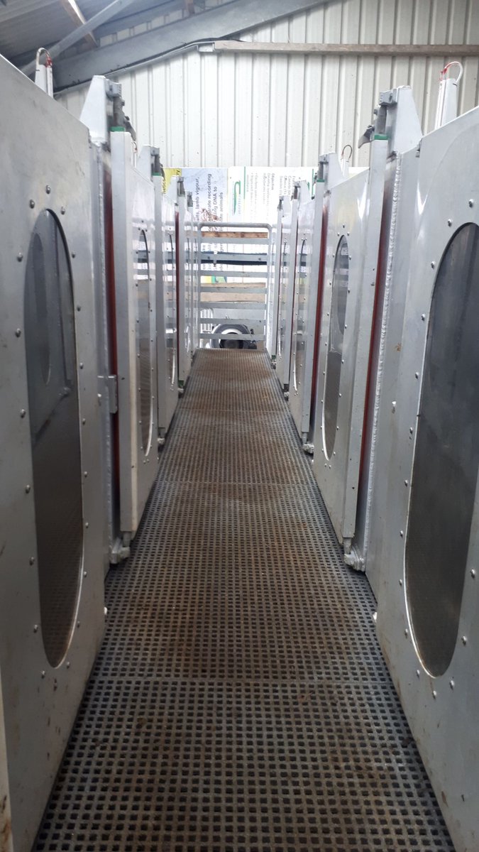 grasstogas's tweet photo. Portable Accumulation Chambers (PAC) from @AgResearchNEWS are being used to measure #methane from grass based sheep systems for @GreenBreedDAFM &amp; @grasstogas in @teagasc. @TeagascSheep @SheepIreland https://t.co/8JapqUJS2T