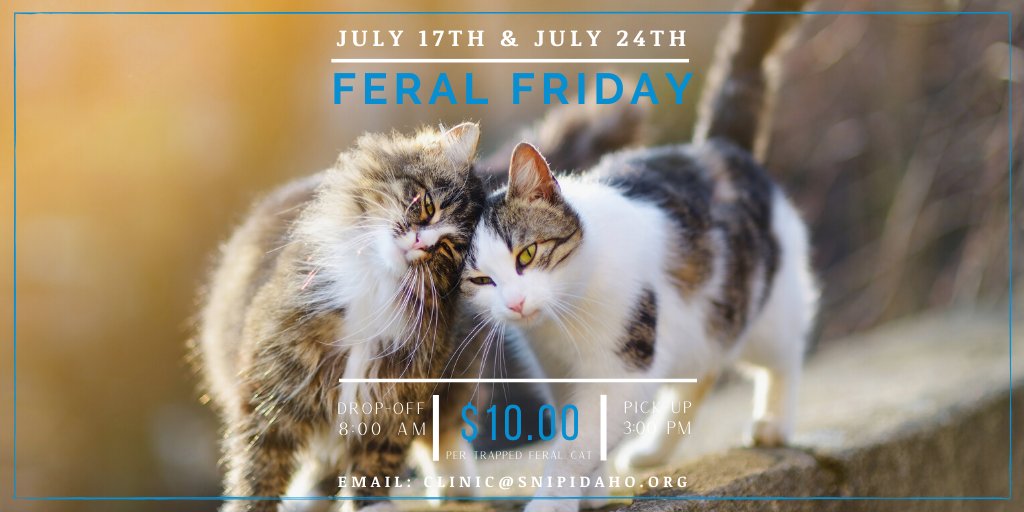 Spay/Neuter ID Pets (@snipidaho) on Twitter photo 