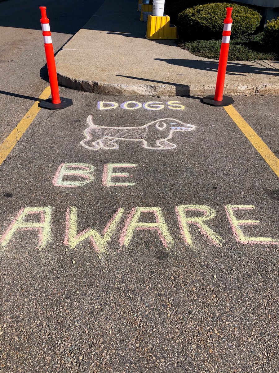 Alex Reichert tweet media