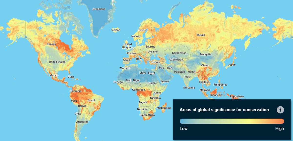 unepwcmc's tweet image. Have you visited the #NatureMap Explorer yet? 🔎 Nature Map Explorer aims to provide a set of integrated global maps on the state of nature, based on the best available scientific data. 🗺️ You can help us improve the maps by providing your feedback at explorer.naturemap.earth