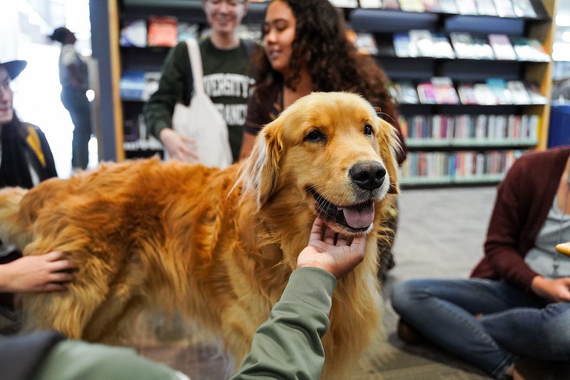 USFCA Student Leadership & Engagement tweet media