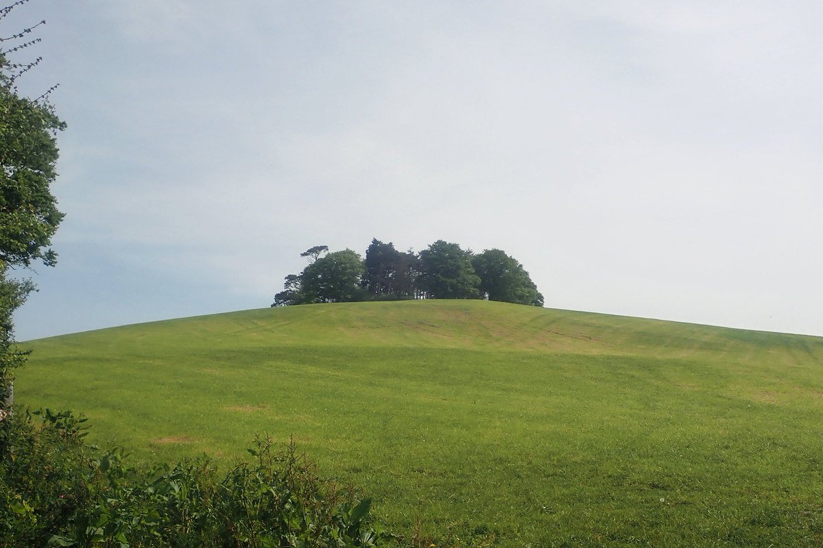 21. So, Rypen is of very similar size and appearance to the Windmill Hill site, both in the  #landscape & in the  #LiDAR. There's no HER entry, & yeah absence of evidence isn't evidence of absence, but here I think it probably is, and that 'clump' tells you all you need. 22/n