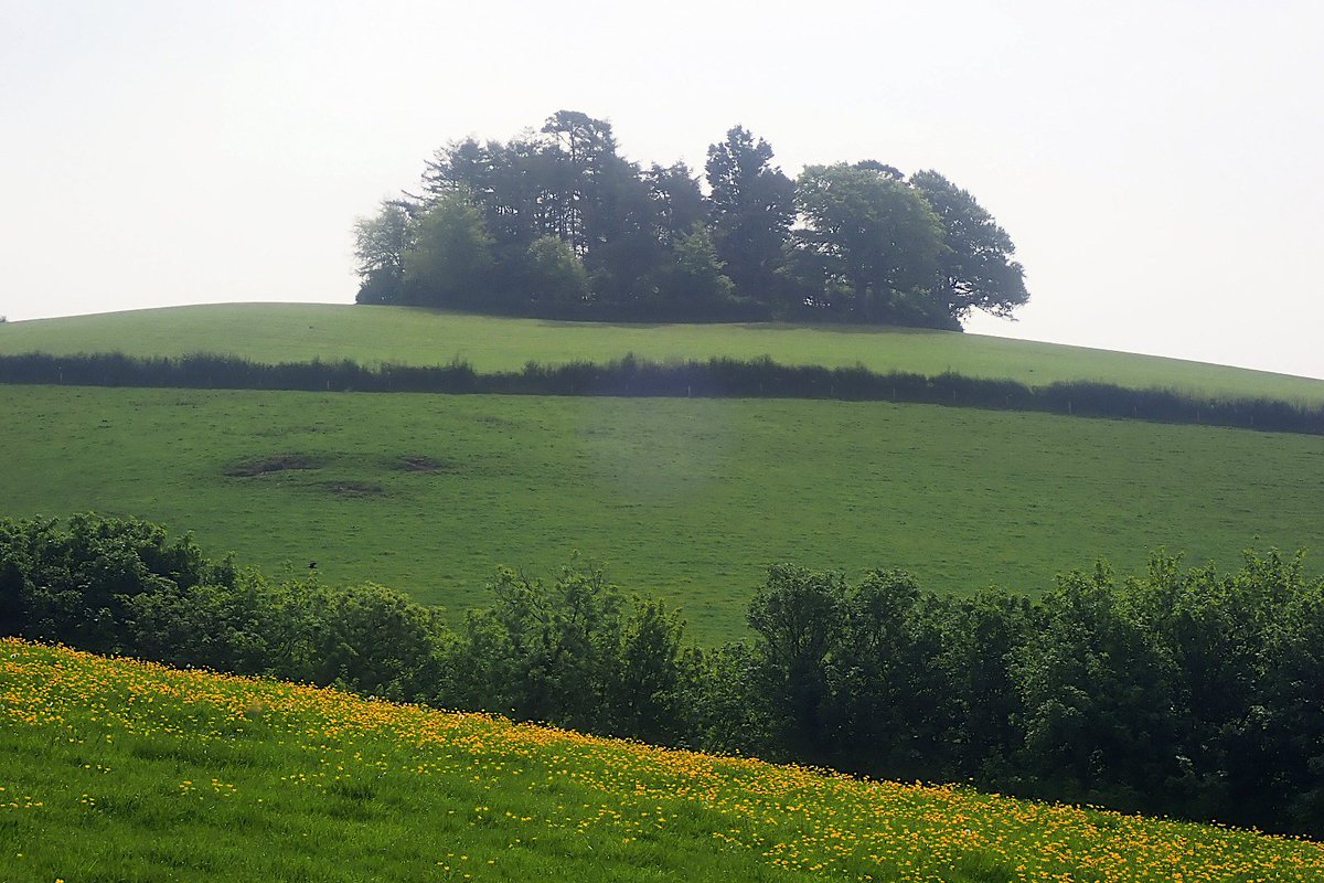 21. So, Rypen is of very similar size and appearance to the Windmill Hill site, both in the  #landscape & in the  #LiDAR. There's no HER entry, & yeah absence of evidence isn't evidence of absence, but here I think it probably is, and that 'clump' tells you all you need. 22/n