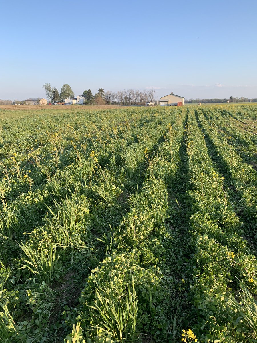 I guess at least it’s pretty and smells good. #learningcurve