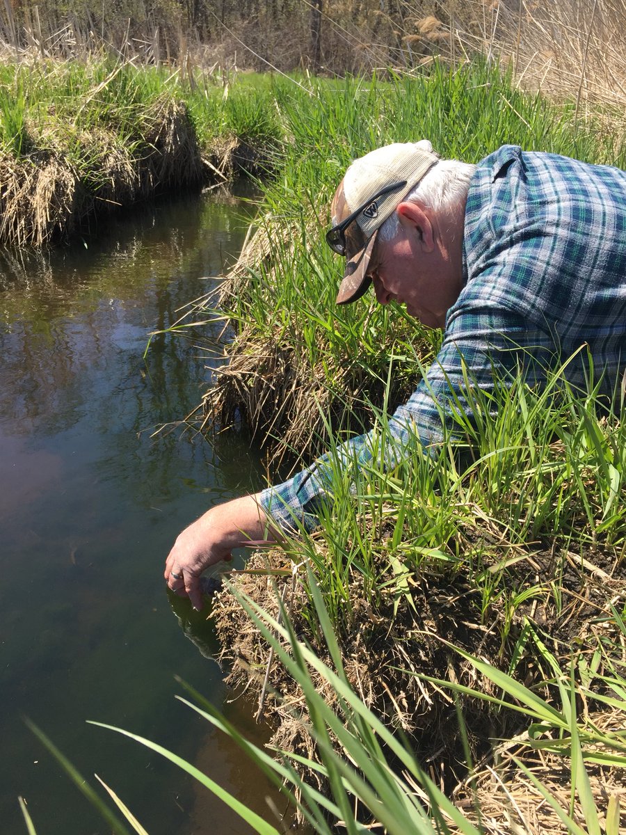 <a href="/ChiltonHigh/">Chilton High School</a> &amp; CMS #TroutintheClassroom released approx 325 brook trout into Stony Brook. No students due to #COVID19 but daughters represented. Thanks to all stakeholders (too many to mention all).  <a href="/TheGregParticle/">Greg Sromek</a> <a href="/bowmanbiff/">Brad Bowman</a> <a href="/MrsBritMayer/">brittany mayer</a> <a href="/TroutUnlimited/">Trout Unlimited</a>   <a href="/WDNR/">Wisconsin DNR</a> <a href="/Fishouflage/">Fishouflage</a>