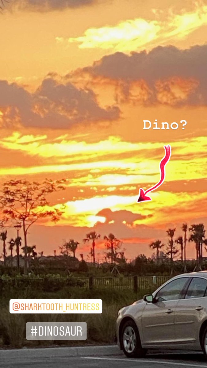 Can you see a dinosaur near the horizon? What kind do you think it is?
#whydinosaurs #dinosaur #dinosaurs #dinosaursareforeveryone #jurassicpark #jurassicworld #dinos #prehistoric #jurassic #dinosaurro #dinosaurios #dinosaurio #dinosaursofinstagram #dinossauros #dinosauri
