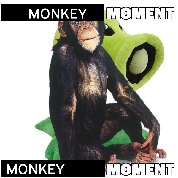 MonkeyForSmash's tweet photo. Monkey fans when they get into Smash. @PvZSmash https://t.co/XnY0uNDKsp