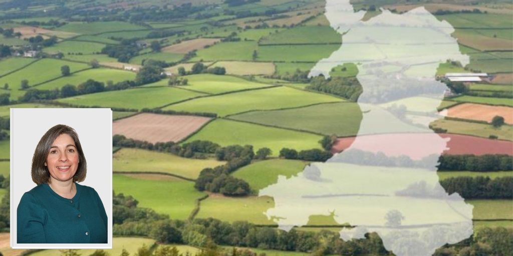 NFU Cymru Environment and Land Use Adviser, Rachel Lewis-Davies, has updated us on what was discussed during a virtual meeting of the NFU Cymru LFA Board.

Members can log in and read more here: ow.ly/tLaq50zE4a8