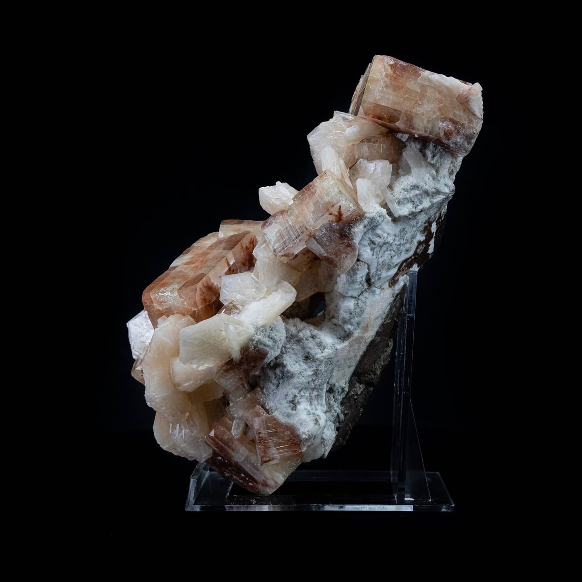 MineralsSuperb's tweet photo. Red and orange(ish) apophyllite cubes with stilbite blades on white chalcedony. This is a really nice find — swipe to the last couple images for close-ups of the different shades of red.

Dimensions: 8.5cm x 10cm x 16cm
Weight: 1.7lbs
Origin: Aurangabad, Maharashtra, India (2019) https://t.co/Uls3jmrAMG