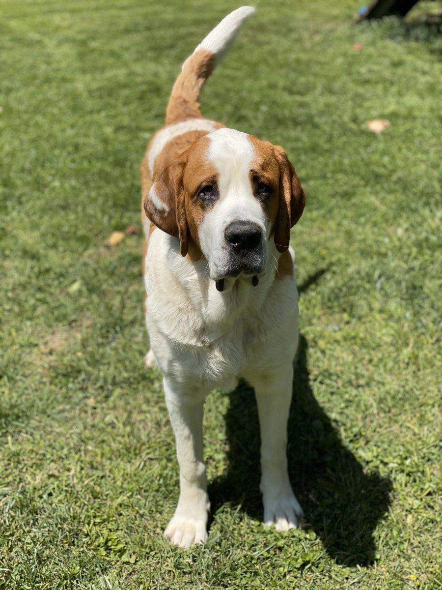 Kendal Cowgill tweet media