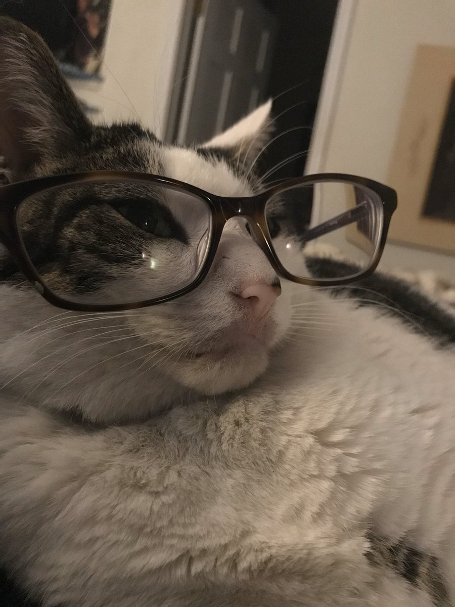 patches_da's tweet photo. here    too amnser any qwestionz https://t.co/a7yg3d5P2K