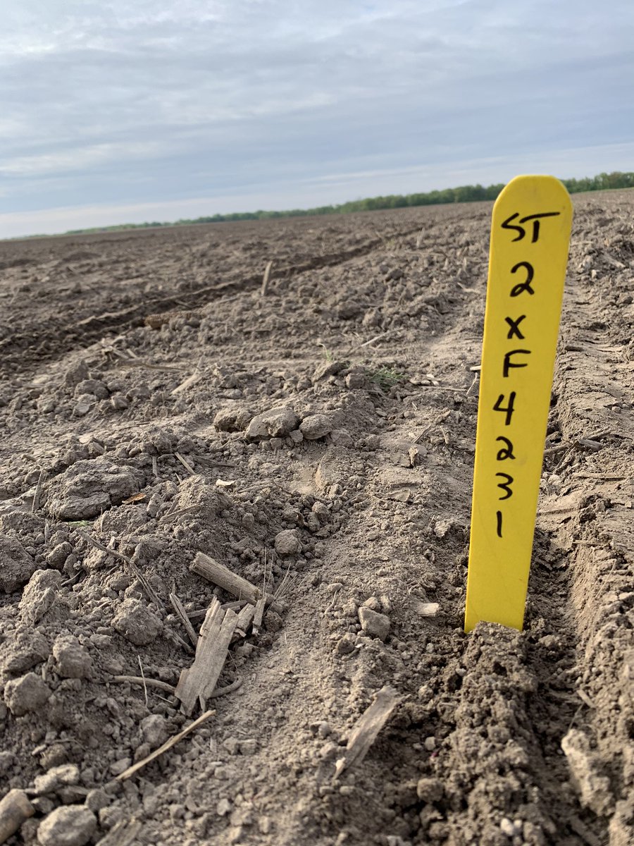 BoehmEric88's tweet photo. Big plot day yesterday. 3 corn plots and 1 #xtendflex bean plot put in. @StoneSeedIL @RobertClark_16 https://t.co/RwGFi78qrz