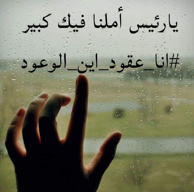 DjesNassima's tweet photo. #اناعقود_اين_الوعود https://t.co/UEgqpu1AoD