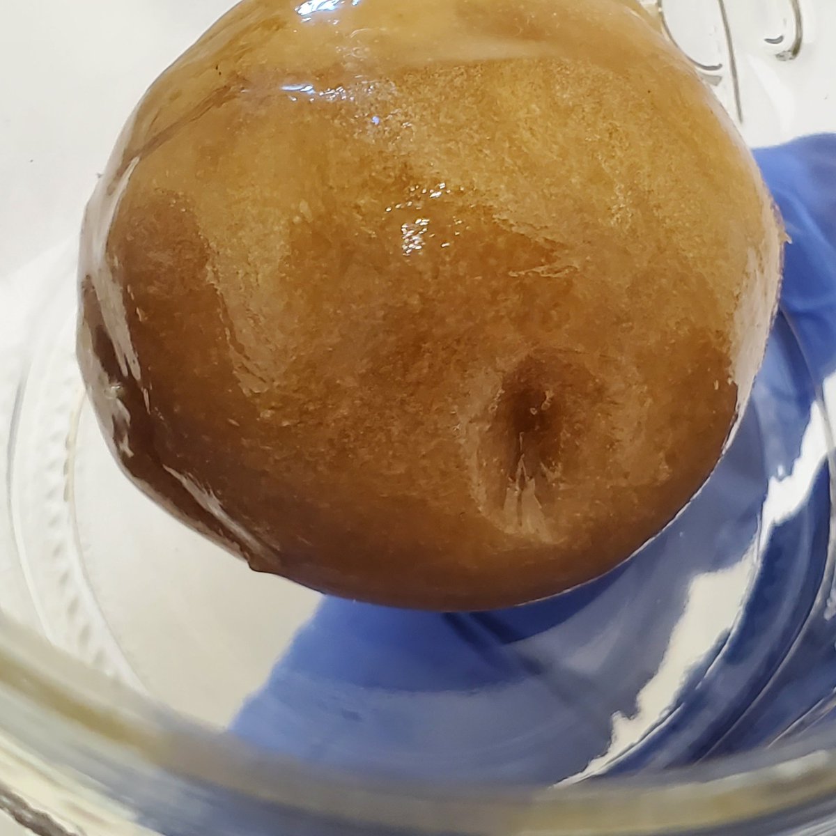 MidwestExtracts's tweet photo. Another 🔥 live rosin run!!! Already sweating terps👀👀...Now we wait and cold cure. Make sure you tag some of your favorite stores you want to see us in. 

SUPPORT LOCAL!💯

#midwestextracts #qualitymatters… https://t.co/AglYjAtKLY https://t.co/qEPClTGhEj