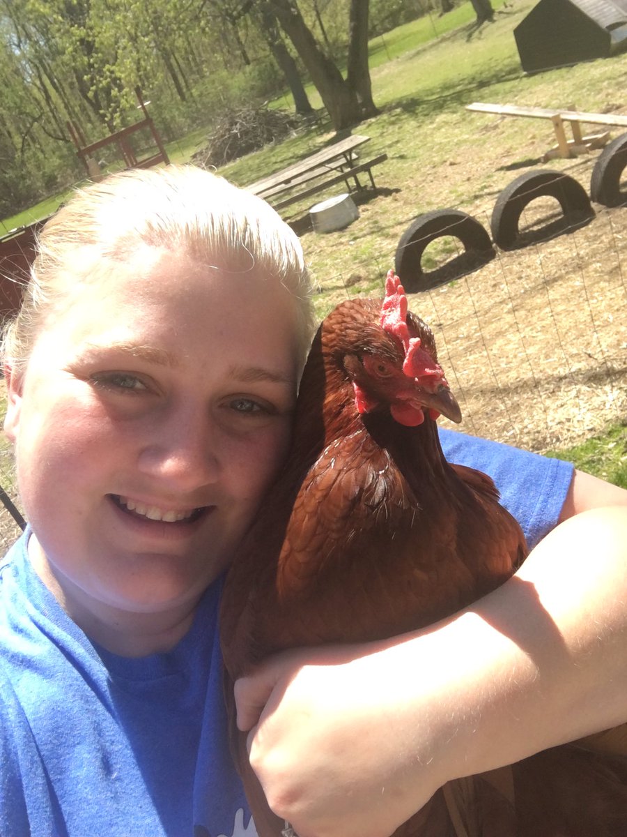MrsLucke's tweet photo. @A2schools @A2Eberwhite @GovWhitmer school might be closed but I was excited to share and teach my annual chicken life cycle unit to my kiddos. We even had a special guest in our google hangout today! Meet RED the hen (female chicken) π π π£ #a2ebw #ebwstrong #a2distancearning https://t.co/nScrieh0V9
