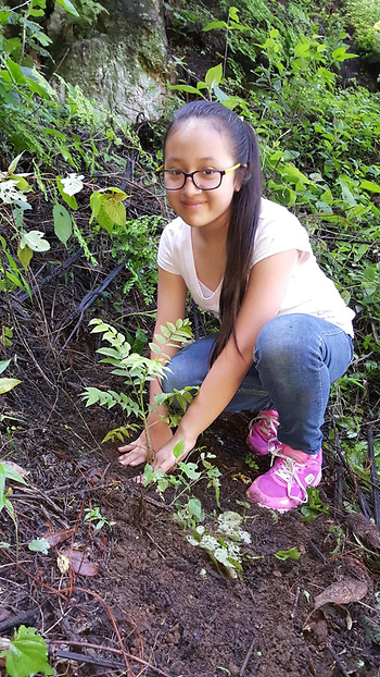 samdotai's tweet image. Sometimes, things look grim. That's why we are so excited to announce that we are partnering with onetreeplanted.org. With every new, paying SAM customer, a tree will be planted where most needed. We can feel good about that. #Sustainability #ClimateSolutions #socialimpact