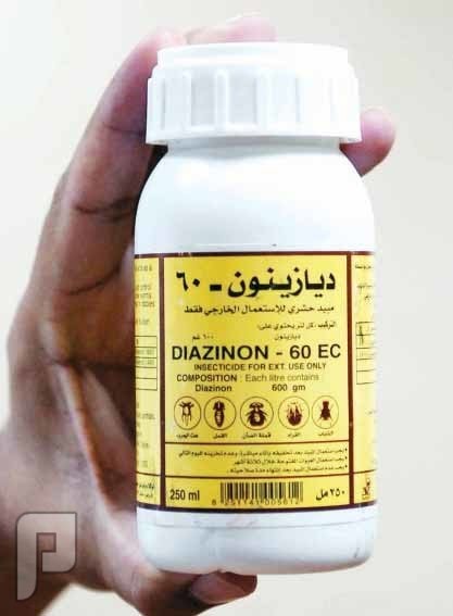dr_farmer9's tweet photo. الديازينون ( الجرة ) سم قاتل يتساهل البعض بإستخدامه لكل شئ .
��لحيوانات
للنباتات 
للصحة العامة .
وهو عالي السمية وحذرت هيىة الغذاء والدواء من أستخدامه لأضراره الكبيرة فلاتتساهلوا بإستعماله .
البعض يستخدمه لكل شئ .
https://t.co/fzRDCYi5Wn https://t.co/iH1OMtKvBD
