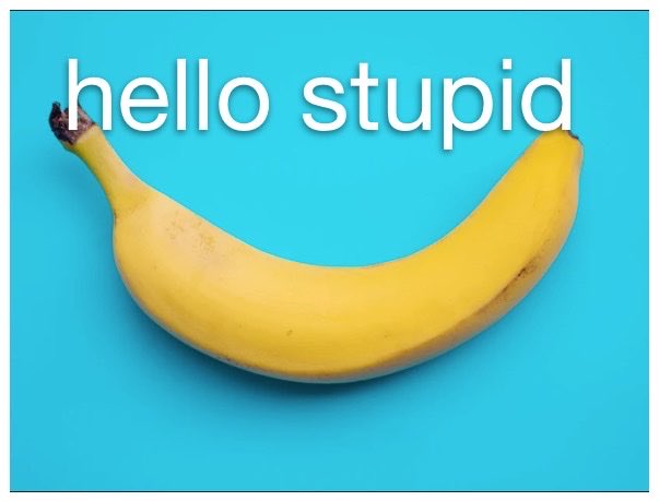 The Microphone Assassin tweet media