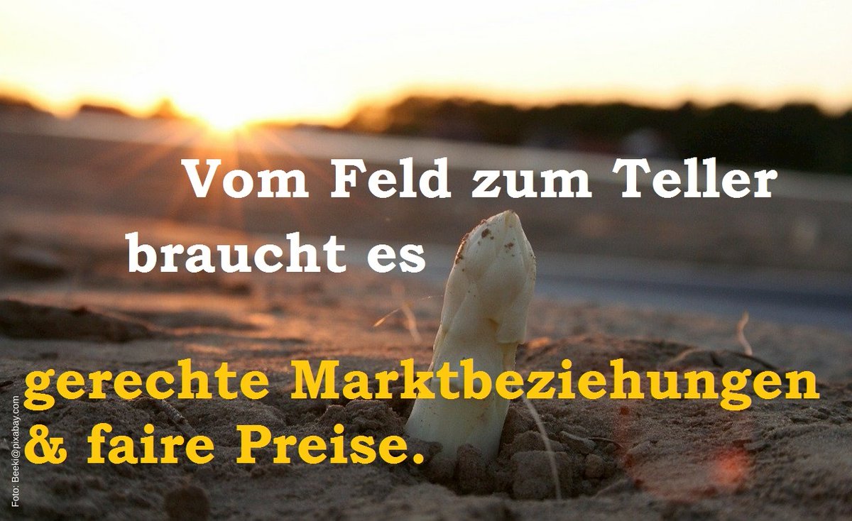 Axel Vogel tweet media